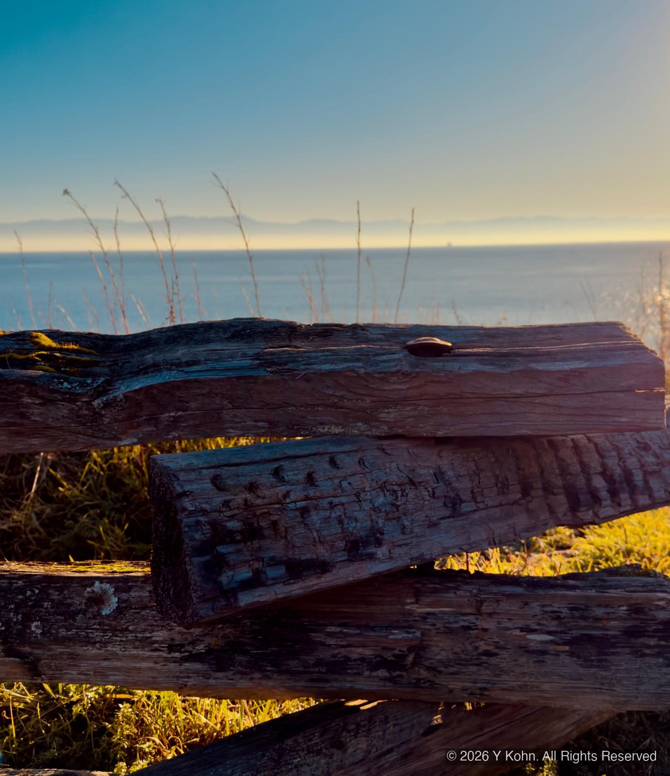 Ocean and driftwood along Dallas Road