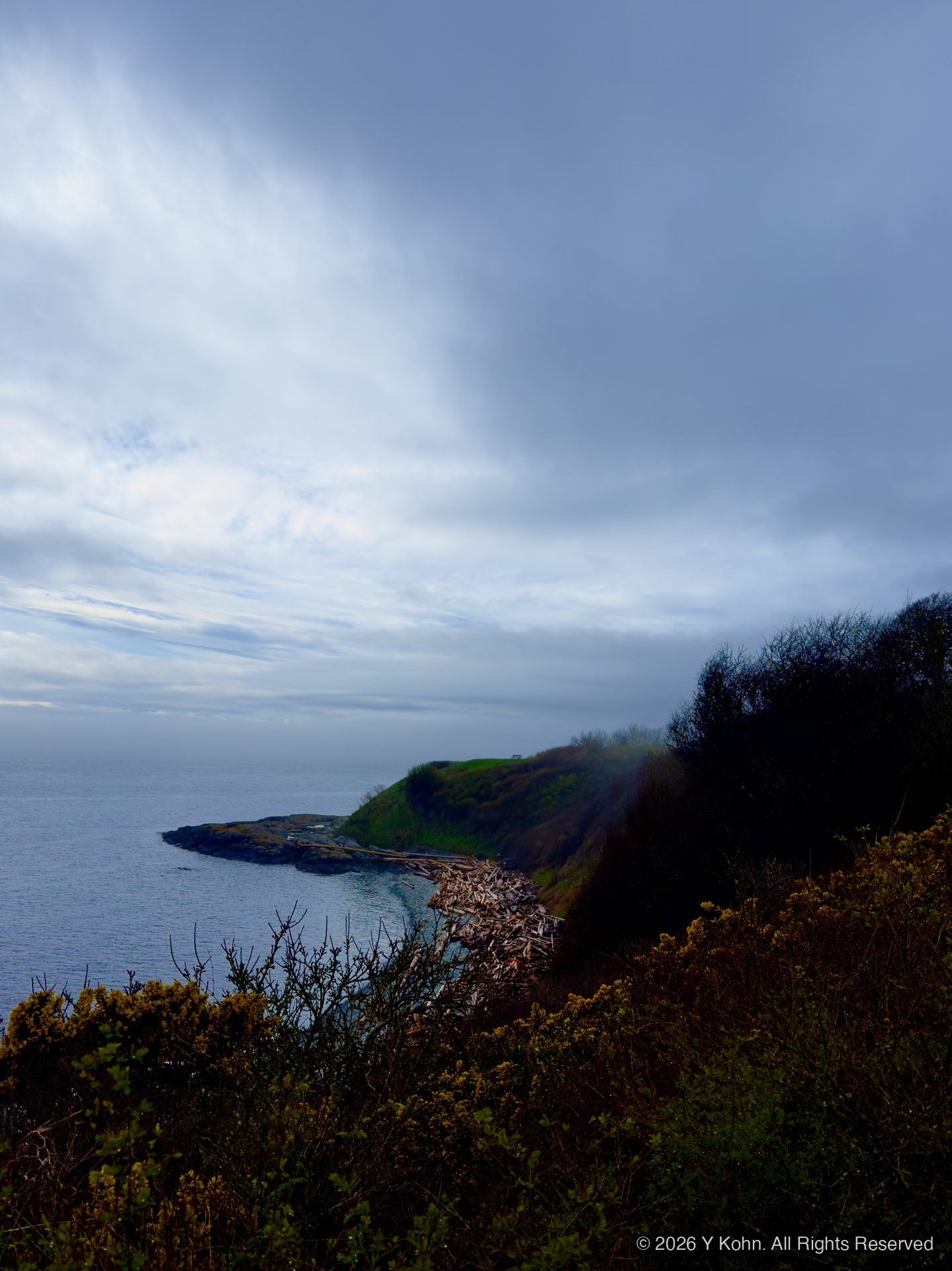 Pacific Ocean view from Dallas Road, Victoria