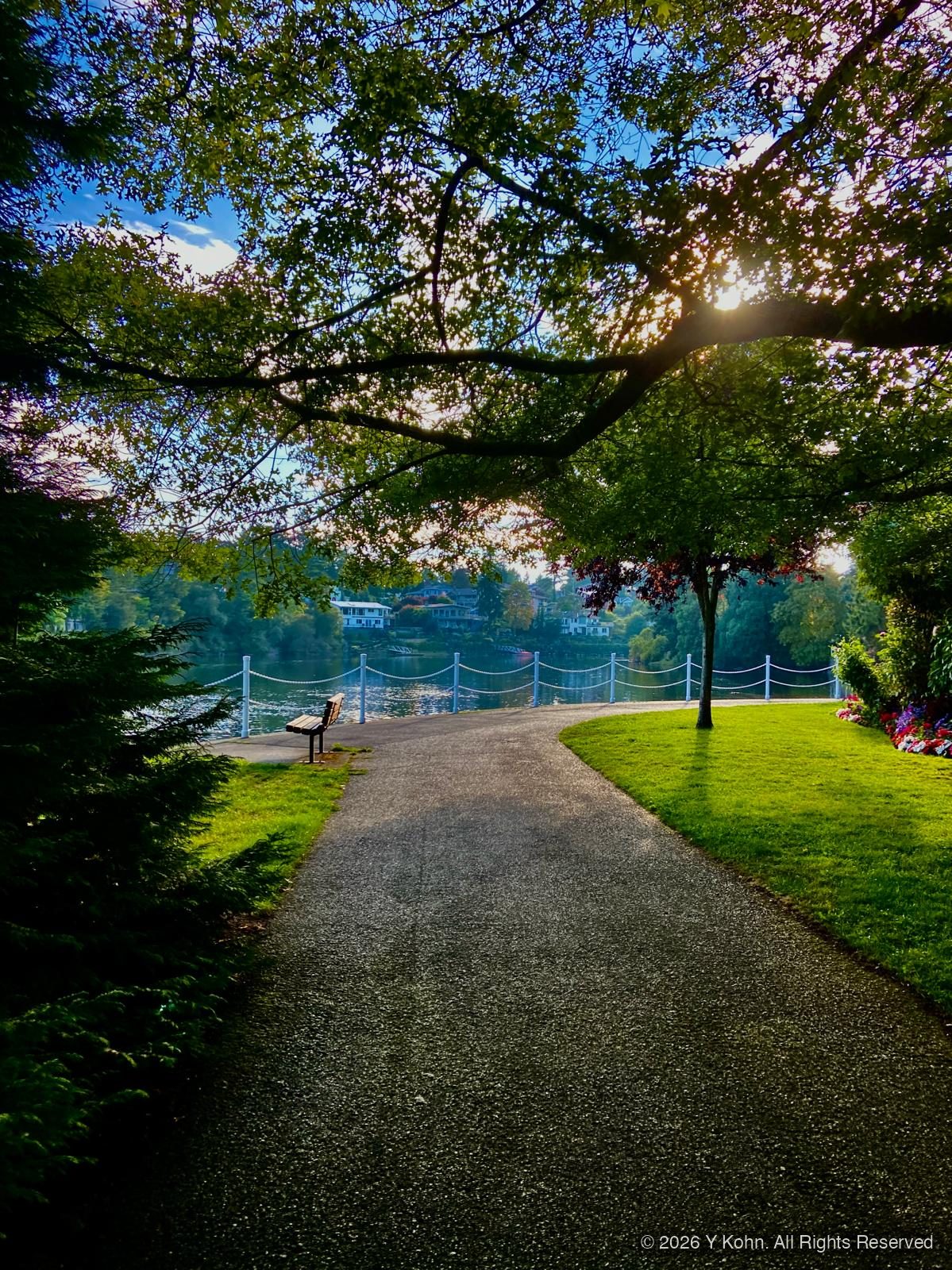 A sunlit path through a park in Victoria, BC